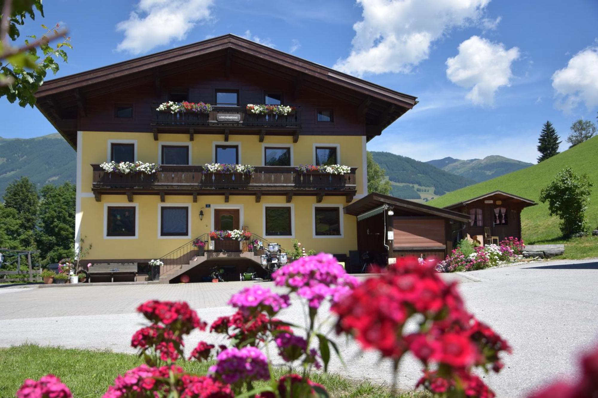 Loeschenbrandhof Appartement Mittersill Buitenkant foto