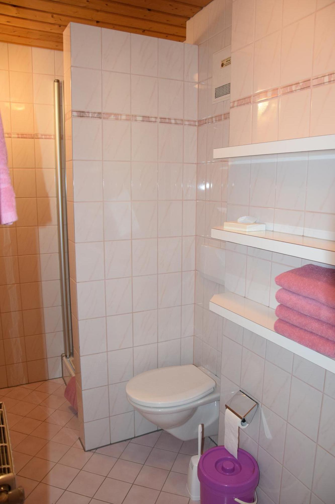 Loeschenbrandhof Appartement Mittersill Buitenkant foto