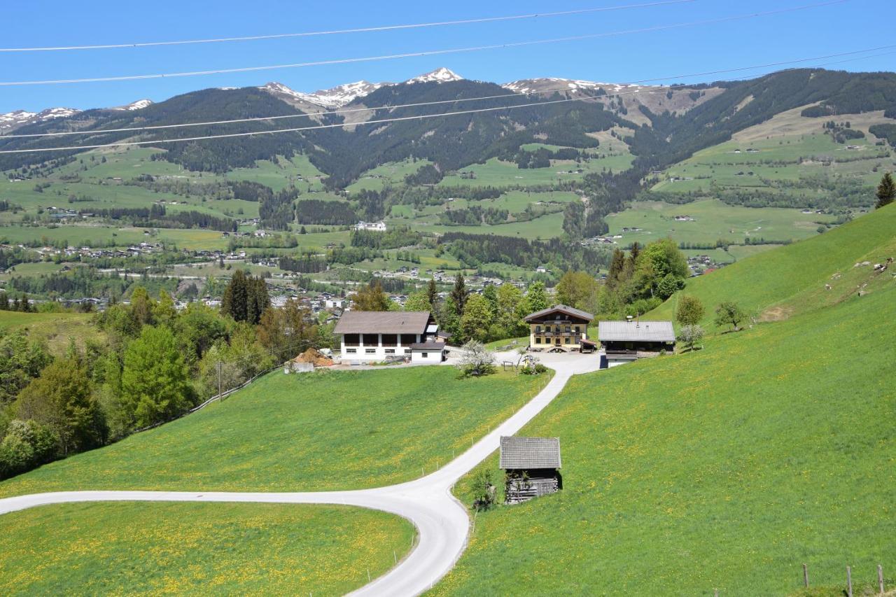 Loeschenbrandhof Appartement Mittersill Buitenkant foto